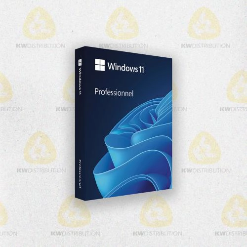 [WIN11PROCOA] Windows 11 PRO demat