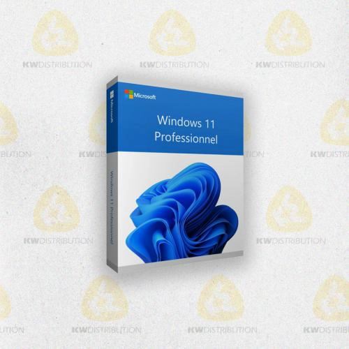 [WIN11PRO] Windows 11 PRO 64 bit